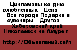 Цикламены ко дню влюбленных › Цена ­ 180 - Все города Подарки и сувениры » Другое   . Хабаровский край,Николаевск-на-Амуре г.